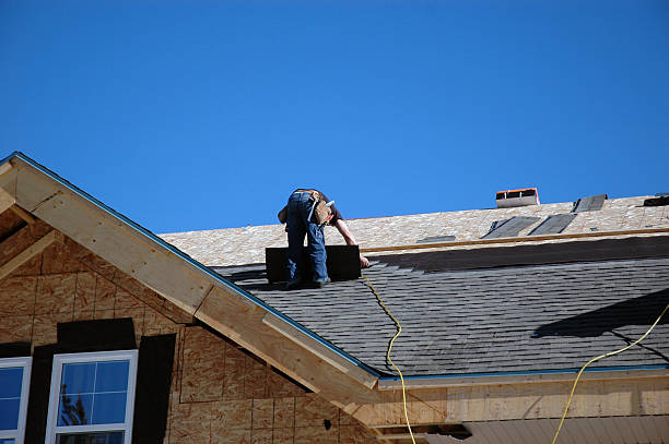 Best Chimney Flashing Repair  in Lanett, AL