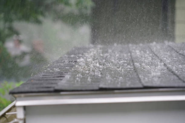 Best Asphalt Shingles Roofing  in Lanett, AL