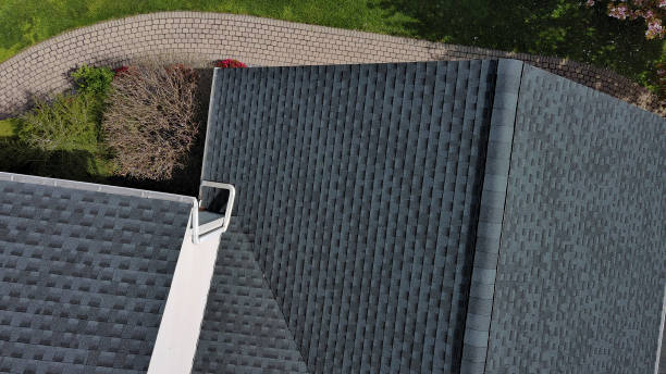 Best Solar Panel Roofing Installation  in Lanett, AL
