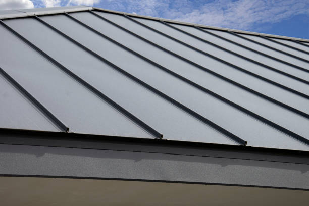 Best Gutter Installation and Repair  in Lanett, AL